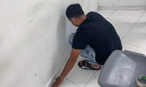 FB_IMG_1718245374535